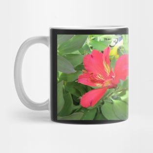 Peruvian Lily / Red Alstromeria Mug